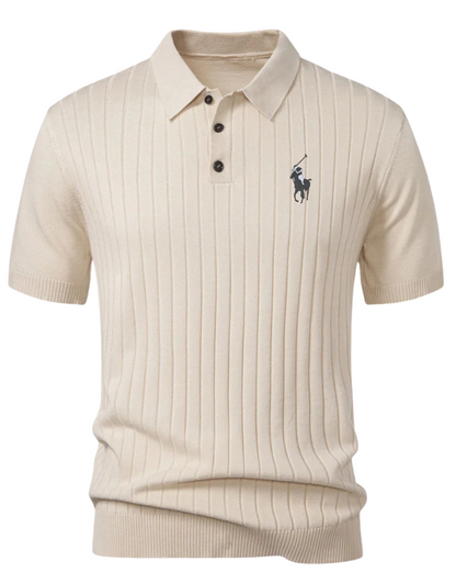 Stripe Knit Polo Shirt