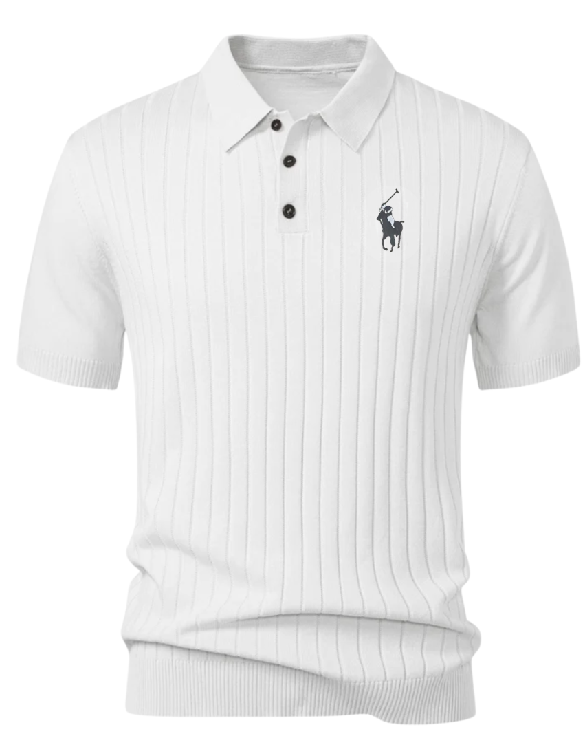 Stripe Knit Polo Shirt