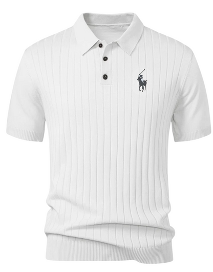 Stripe Knit Polo Shirt